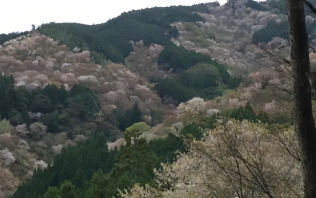  奈良県吉野郡の風景