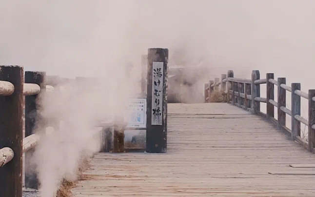 温泉の湯気が立ち上る、温泉街らしい趣のある景観が広がっている